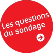 Button: Survey Questions